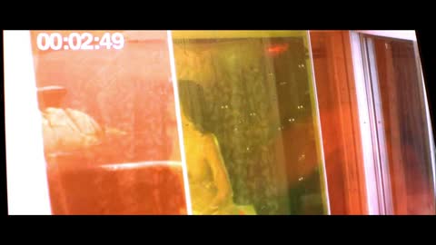 The 33d Invader 2011 BluRay 1080p AVC DTS-HD MA5.1